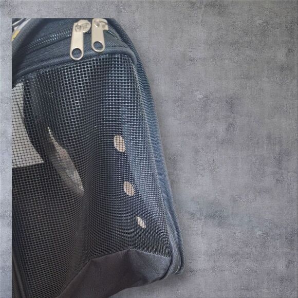 Mickey Mouse Pet Carrier with Viewing Bubble Used ONCE AIRPLANE READY - Picture 2 of 10